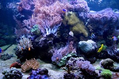 Killikus&reg; Fotographie